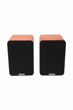 Aiwa Tv, Lyd & Det Smarte Hjem-Højtaler BT