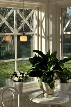 Aneta Lighting Pendler-Pendel ELIN