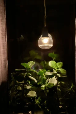 Aneta Lighting Pendler-Pendel ELIN