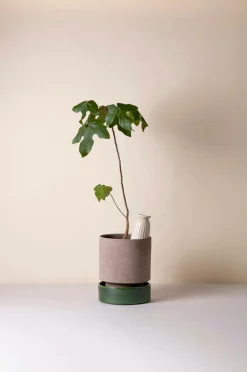 Bergs Potter Vaser-Cove Glazed, 450 ml