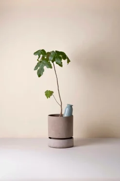 Bergs Potter Vaser-Cove Glazed, 300 ml