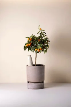 Bergs Potter Vaser-Cove Glazed, 300 ml