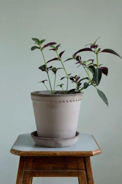 Bergs Potter Potteskjulere-Helena Raw, Ø 8,5 cm, sæt