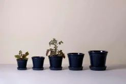 Bergs Potter Potteskjulere-Københavner Glazed, Ø 12 cm, sæt