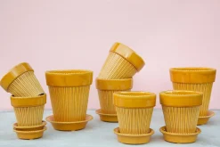 Bergs Potter Potteskjulere-Simona Glazed, Ø 12 cm, sæt