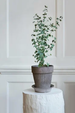 Bergs Potter Potteskjulere-Simona Raw, Ø 12 cm, sæt