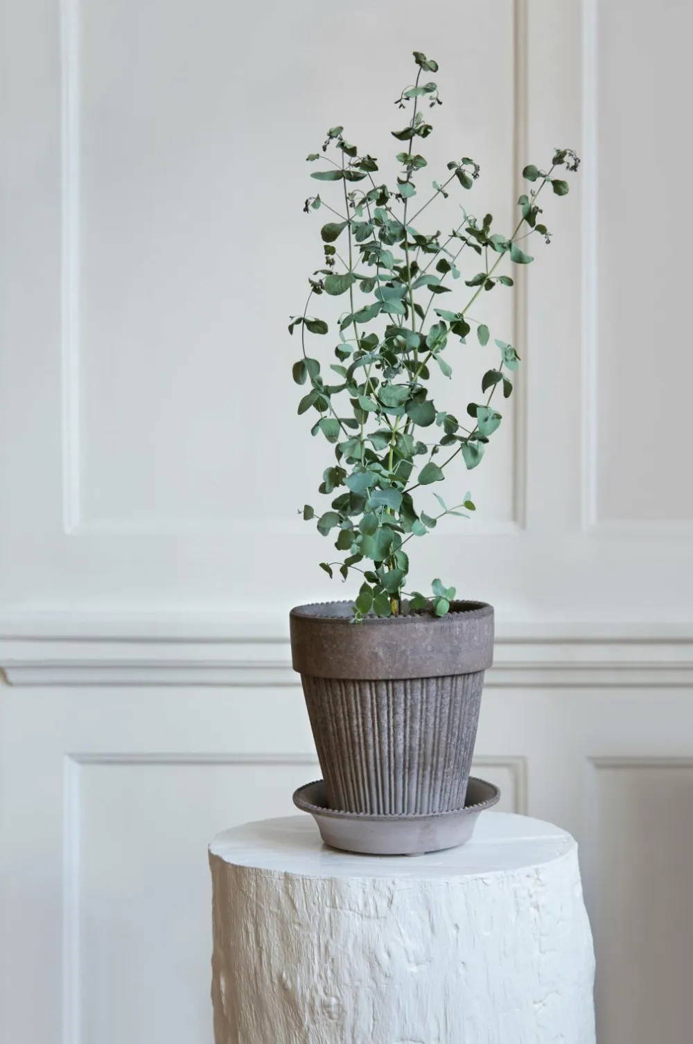 Bergs Potter Potteskjulere-Simona Raw, Ø 12 cm, sæt