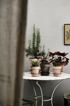 Bergs Potter Potteskjulere-Simona Raw, Ø 12 cm, sæt