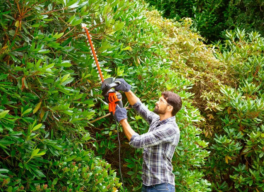 Black & Decker Værktøj & Have-Hækkeklipper 60 cm 600 W med savklinge