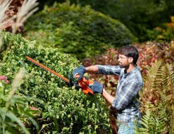 Black & Decker Værktøj & Have-Hækklipper 420w 45cm