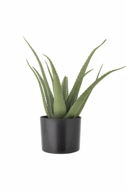 Bloomingville Planter & Blomster-Aloe Plante