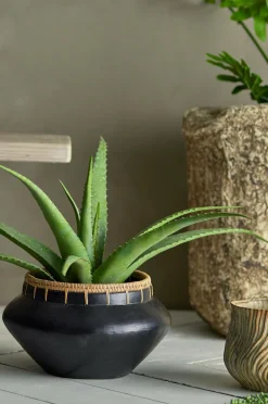 Bloomingville Planter & Blomster-Aloe Plante