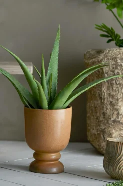 Bloomingville Planter & Blomster-Aloe Plante