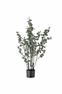 Bloomingville Planter & Blomster-Eucalyptus Plante