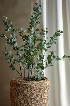 Bloomingville Planter & Blomster-Eucalyptus Plante