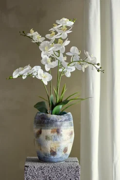Bloomingville Planter & Blomster-Orchid Plante