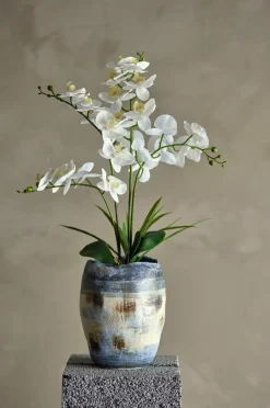 Bloomingville Planter & Blomster-Orchid Plante