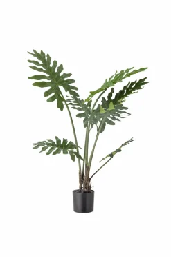 Bloomingville Planter & Blomster-Philodendron Plante