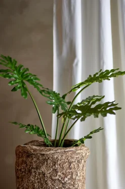 Bloomingville Planter & Blomster-Philodendron Plante