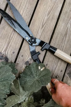 by Benson Planter & Blomster-Hækkesaks Deluxe