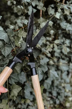 by Benson Planter & Blomster-Hækkesaks Deluxe