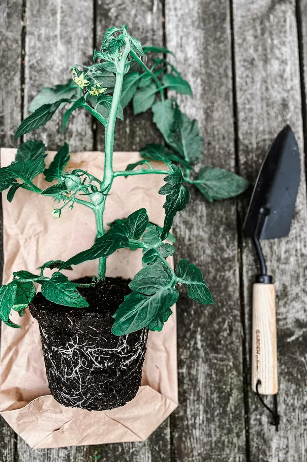 by Benson Planter & Blomster-Plantespade