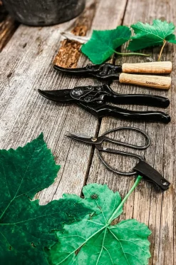 by Benson Planter & Blomster-Sekatør - Basic