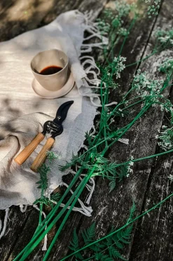 by Benson Planter & Blomster-Sekatør - Exclusive