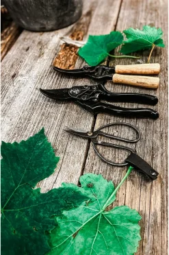 by Benson Planter & Blomster-Sekatør - Exclusive