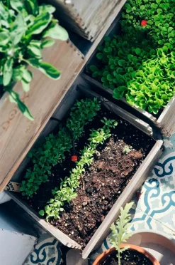 by Benson Planter & Blomster-Vinkasse Priorat