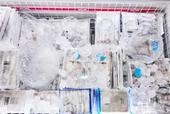 Byon Borddækning & Servering-Glas Swan 2-pak