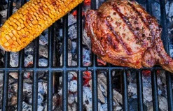 Char-Broil Udemøbler & Have-Hybrid-grill Gas2Coal 2.0