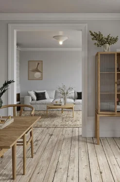 CO Bankeryd Lampetilbehør-Loop 45 loft