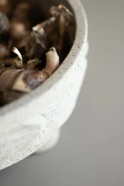 DBKD Småopbevaring-Clay plate