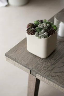 DBKD Pynteting-Fad Curl large