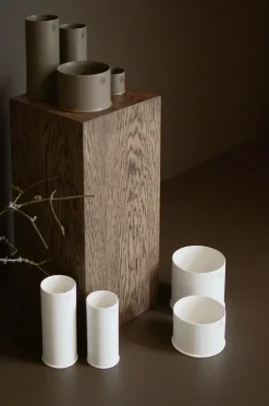 DBKD Potteskjulere-Krukke Astillbe Plant