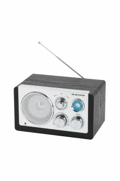 Denver Tv, Lyd & Det Smarte Hjem-Analog radio AM/FM