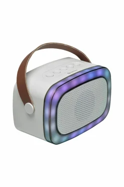 Denver Tv, Lyd & Det Smarte Hjem-Bluetooth-højttalere BTM-610 med mikrofon og karaokefunktion