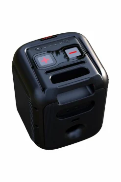 Denver Tv, Lyd & Det Smarte Hjem-Højttaler med 8