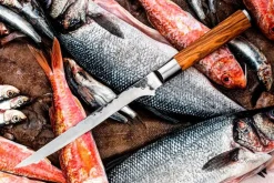 Forged Køkkenknive & Knivtilbehør-Fiskfilékniv