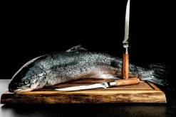 Forged Køkkenknive & Knivtilbehør-Fiskfilékniv