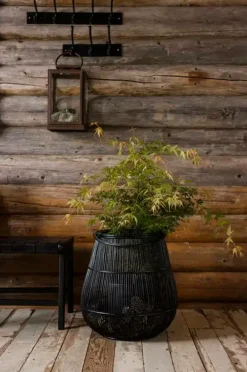 Halvor Bakke Entrémøbler-Høgevarde knagerække