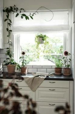 Hasta Foldegardiner-Lamelgardin Linnéa højde 160 cm