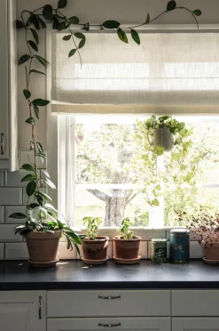 Hasta Julegardiner|Foldegardiner-Liftgardin Lina