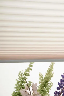 Hasta Foldegardiner-Plisségardin Accord