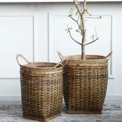 House Doctor Kurve-Kurve, Pura