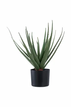 House Nordic Planter & Blomster-Aloe vera