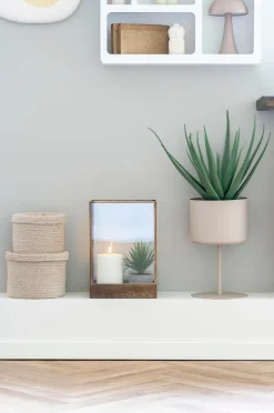 House Nordic Planter & Blomster-Aloe vera