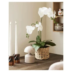 House Nordic Bordlamper-Bordlampe, Aulla