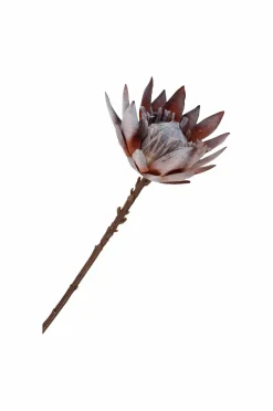 House Nordic Planter & Blomster-Buket King Protea